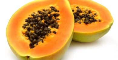 papaya para adelgazar