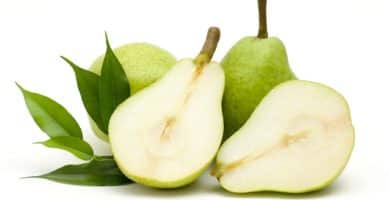 beneficios de la pera