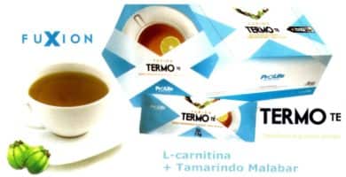 Fuxion Termo Té
