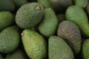 palta