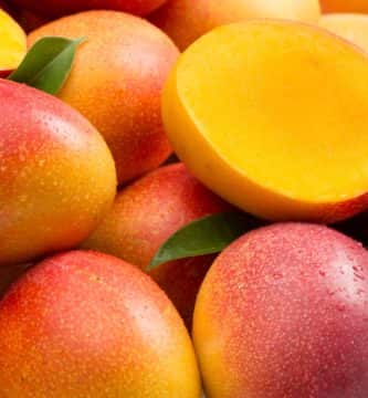 propiedades del mango