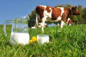 leche-vaca
