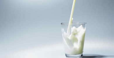 leche engorda