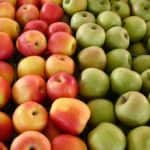 manzana engorda