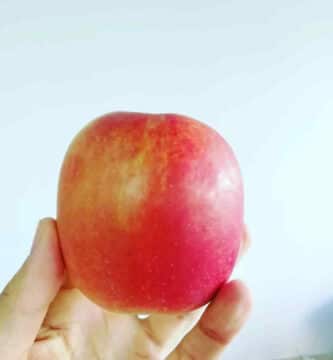 Comer manzana engorda
