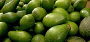 alimentos para bajar de peso